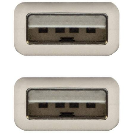 Cable USB 2.0 Nanocable 10.01.0303/ USB Macho - USB Macho/ 2m/ Beige