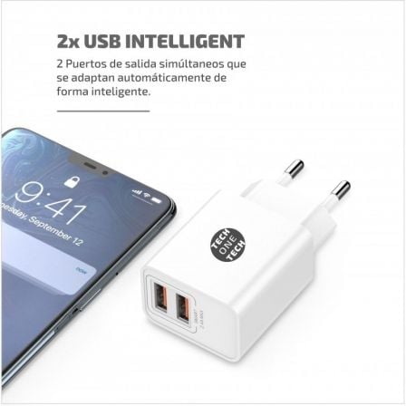 Cargador de Pared Tech One Tech TEC2403/ 2xUSB + Cable USB Tipo-C/ 12W/ Blanco