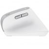 Ratón Vertical Inalámbrico Trust Bayo II/ Batería recargable/ Hasta 2400 DPI/ Blanco