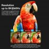 Adaptador HDMI 8K Vention AIUH0/ HDMI Hembra - HDMI Hembra