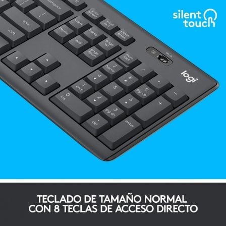 art_log-desk-920-009798_2 Teclado y ratón inalámbricos logitech silent touch mk295/ grafito