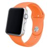 correa-cool-para-apple-watch-series-1-2-3-4-5-6-7-8-9-se-42-44-45-mm-goma-coral Correa COOL para Apple Watch Series 1 / 2 / 3 / 4 / 5 / 6 / 7 / 8 / 9 / SE (42 / 44 / 45 mm) Goma Coral